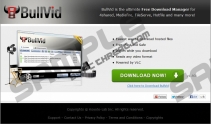 BullVid Download Manager