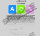 Ad Expert Browser