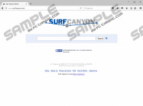 Search.surfcanyon.com