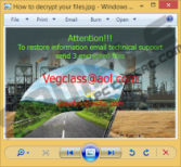 Vegclass@aol.com Ransomware