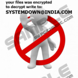 Systemdown@india.com Ransomware