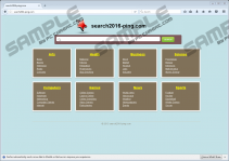search2016-ping.com