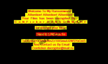 CoNFicker Ransomware