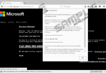 Important Security Alert from Windows Tech Support fake alert