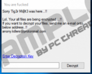 Anony.killers@protonmail.com Ransomware
