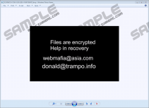 Donald Trampo Ransomware