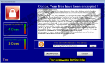 Invincible Ransomware