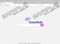 Brainfinds.com