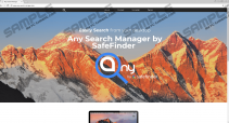 Any Search Manager