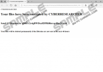 Cyberresearcher Ransomware