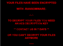 R44s Ransomware