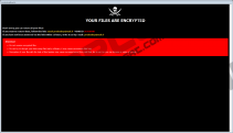 Prnds Ransomware