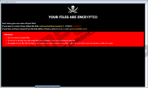 GNS Ransomware