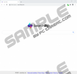 SearchBip